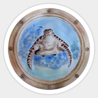 sea turtle behind the window Sticker